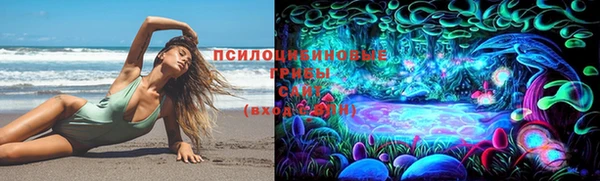 дмт Аркадак