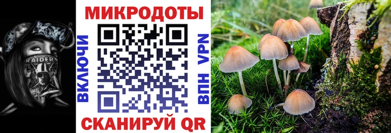 Псилоцибиновые грибы Magic Shrooms  Сычёвка 